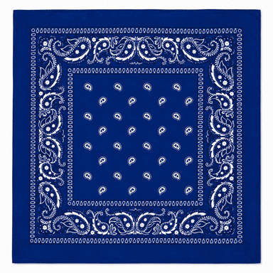 Blue Paisley Bandana-0