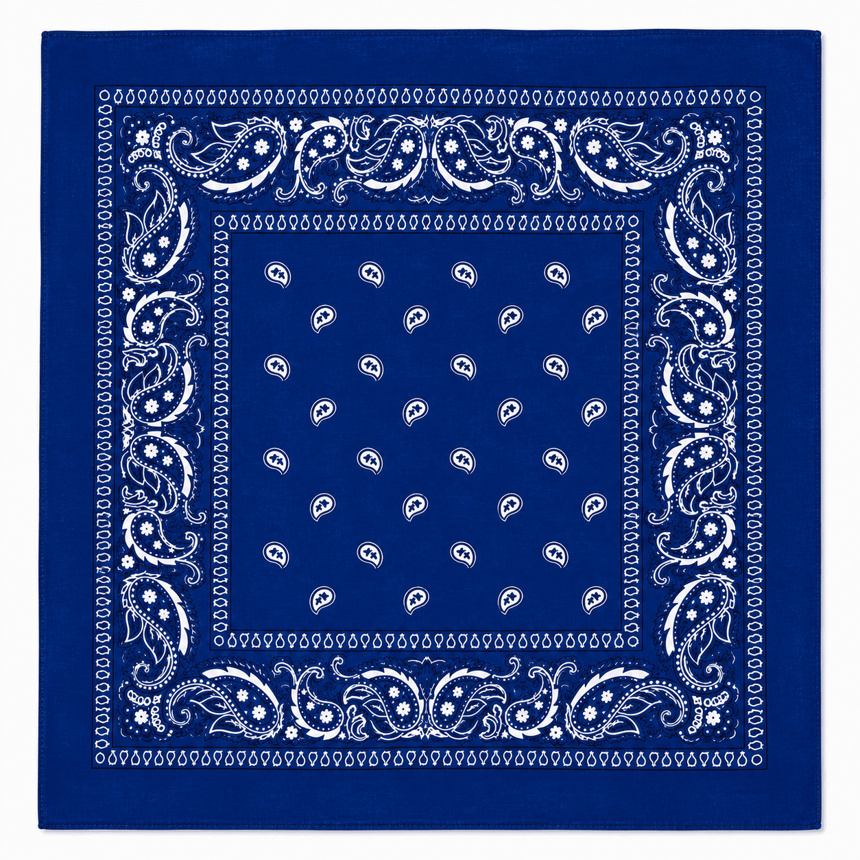 Blue Paisley Bandana