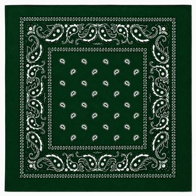 Green Paisley Bandana-0