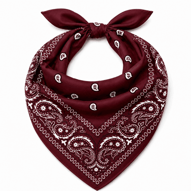 Maroon Paisley Bandana-3
