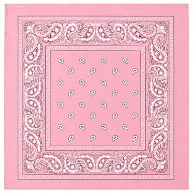 Pink Paisley Bandana-0