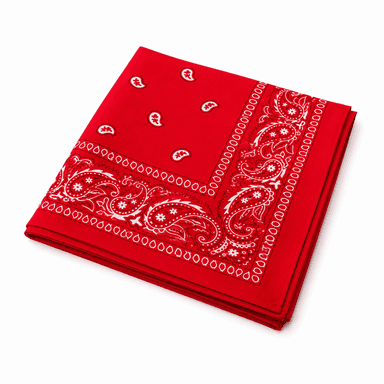 Red Paisley Bandana-1