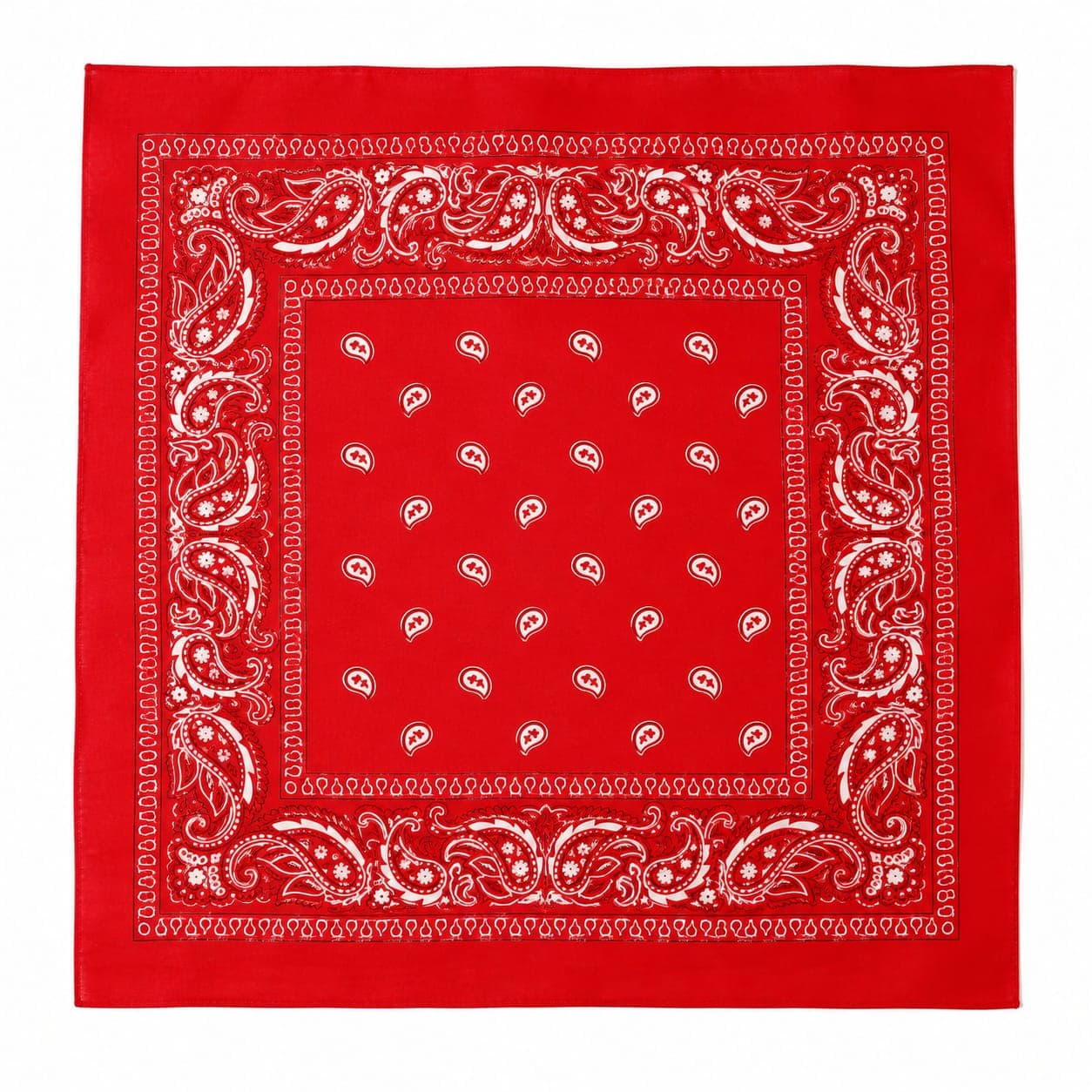 Red Paisley Bandana