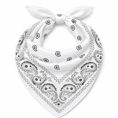 White Paisley Bandana-3