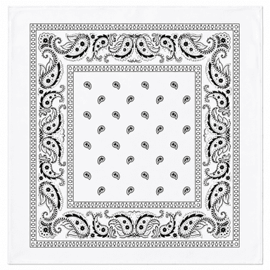 White Paisley Bandana-0